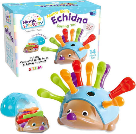 Echidna motor skills and sorting toy